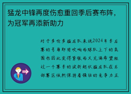 猛龙中锋再度伤愈重回季后赛布阵，为冠军再添新助力