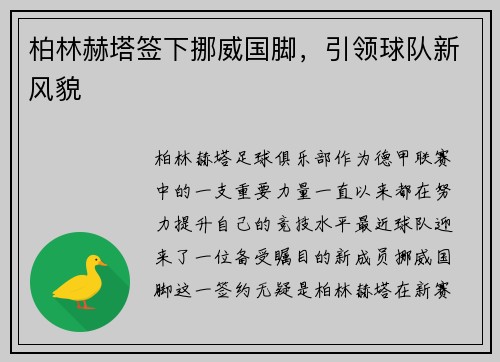柏林赫塔签下挪威国脚，引领球队新风貌