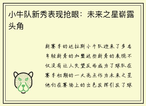 小牛队新秀表现抢眼：未来之星崭露头角